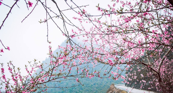 Hành trình Famtrip Caravan Trekking “Sắc màu hoa Sở - Đông Bắc mùa xuân về”