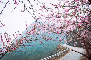 Hành trình Famtrip Caravan Trekking “Sắc màu hoa Sở - Đông Bắc mùa xuân về”