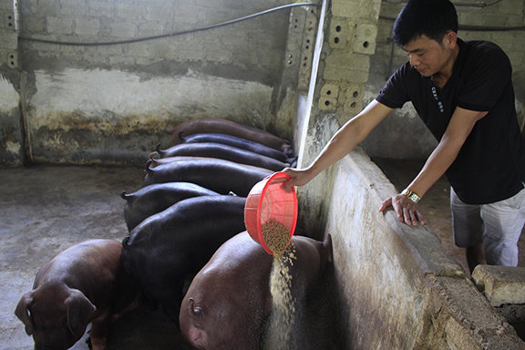 Mô hình đào tạo nghề giúp thanh niên nông thôn lập nghiệp tại Lai Châu