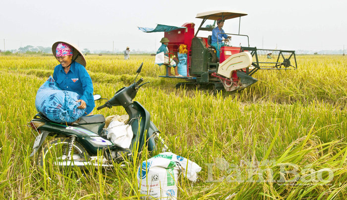 Cơ giới hóa nhỏ ở nông thôn - Tác giả: Phùng Văn Quyến