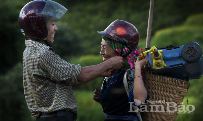 Miền núi - Tác giả: Trung Kiên