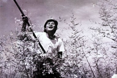 Lần đầu tiên phim Việt Nam được công chiếu trên truyền hình Ấn Độ
