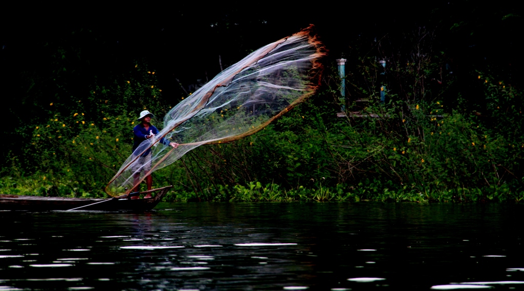 Búng Bình Thiên vào mùa nước nổi