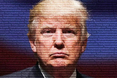 Tổng thống Donald Trump sở hữu đến 3.643 địa chỉ website