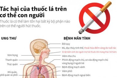 Tác hại của thuốc lá trên cơ thể con người