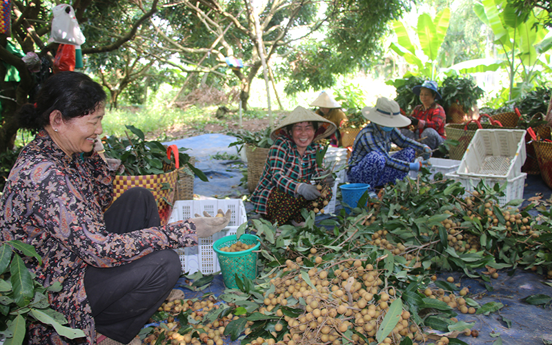 Tạo “luồng xanh” cho nông sản