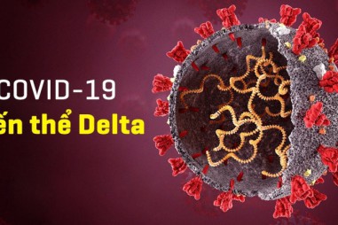 Chi tiết về biến chủng delta của virus SARS-Cov2