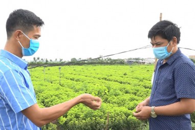 Nông dân xã Phúc Lâm với việc xây dựng nhà lưới để trồng rau, củ, quả sạch 