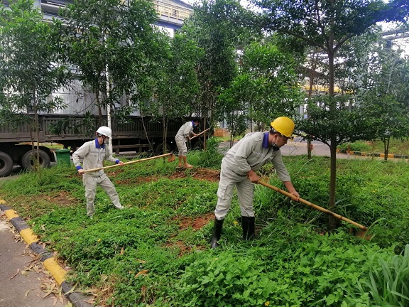 Hiệu quả mô hình sản xuất “3 tại chỗ” của Công ty Nhôm Đắk Nông - TKV