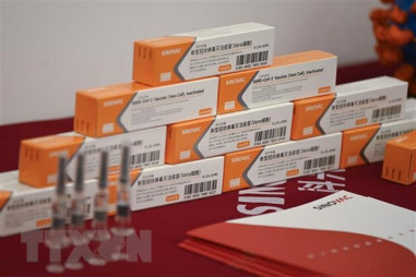 Algeria bắt đầu sản xuất vaccine ngừa COVID-19 của Sinovac
