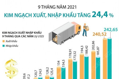 Kim ngạch xuất, nhập khẩu 9 tháng tăng 24,4%