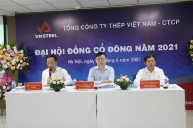 Tổng công ty Thép Việt Nam tổ chức Đại hội đồng cổ đông năm 2021 trực tuyến