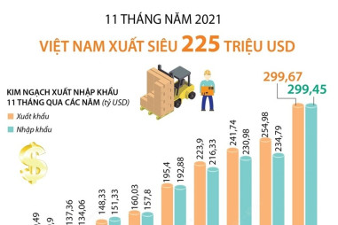 11 tháng năm 2021, Việt Nam xuất siêu 225 triệu USD