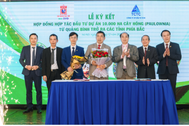 Sơn Đại Việt (DVG) hợp tác đầu tư cùng TCTC phát triển dự án 10.000 ha trồng cây hồng