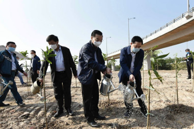 Hà Nội đặt mục tiêu trồng 120.000 cây xanh ngay trong những ngày đầu Xuân Nhâm Dần