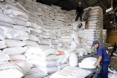 Hỗ trợ hơn 1.800 tấn gạo cho 3 tỉnh Nghệ An, Đắk Lắk, Gia Lai