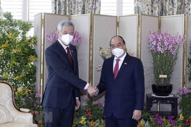 Việt Nam coi trọng củng cố quan hệ Đối tác chiến lược với Singapore