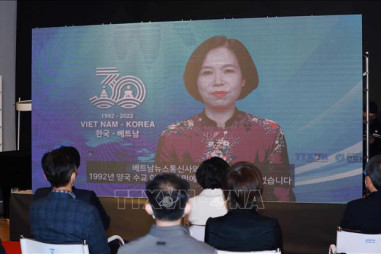 Triển lãm ảnh báo chí kỷ niệm 30 năm thiết lập quan hệ ngoại giao Việt Nam - Hàn Quốc
