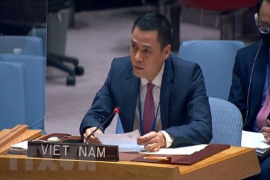 Việt Nam sẵn sàng đóng góp thực chất ở các diễn đàn phát triển của Liên hợp quốc