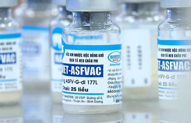 Báo Pháp đánh giá cao việc Việt Nam phát triển vaccine phòng dịch tả lợn châu Phi