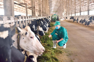 Mô hình phát triển bền vững “Vinamilk Green Farm” được chia sẻ tại hội nghị sữa toàn cầu