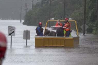 Sydney sơ tán hàng nghìn người dân do mưa lớn kéo dài