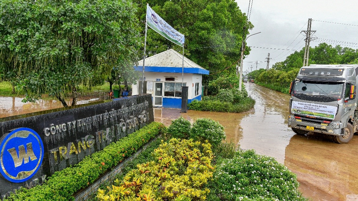 Vinamilk tiếp nhận thành công hơn 1.500 bò sữa nhập từ Mỹ về các trang trại Green Farm