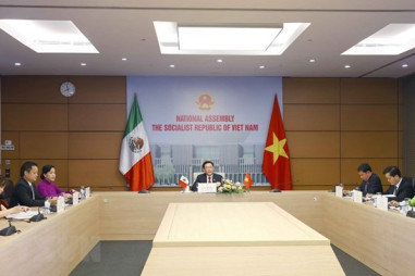 Tăng cường quan hệ thương mại Việt Nam-Mexico theo hướng cân bằng hơn
