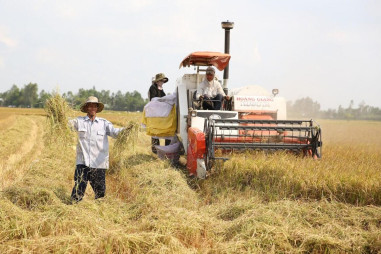Giải pháp truyền thông nâng cao nhận thức về bảo hiểm nông nghiệp cho nông dân Việt Nam