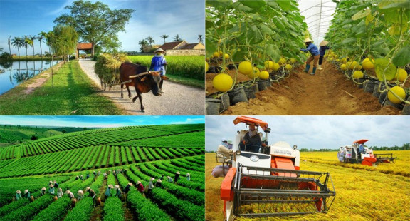Đẩy mạnh giáo dục nghề nghiệp khu vực nông nghiệp, nông thôn