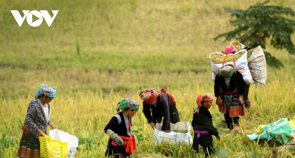 Chính phủ Việt Nam ưu tiên tăng trưởng kinh tế gắn với chăm lo cho người nghèo