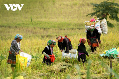 Chính phủ Việt Nam ưu tiên tăng trưởng kinh tế gắn với chăm lo cho người nghèo