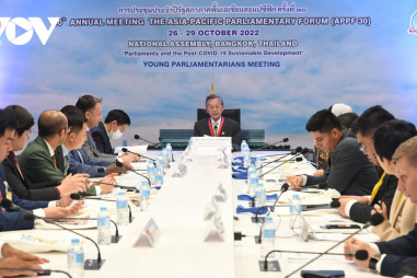APPF-30: Quốc hội Việt Nam chia sẻ kinh nghiệm thúc đẩy phục hồi kinh tế hậu COVID-19
