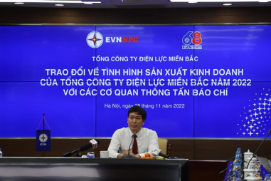 EVNNPC đối mặt với thách thức để đi xuyên qua khó khăn