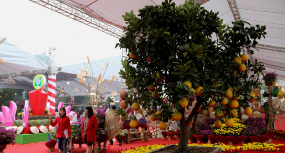 Sắp diễn ra “Festival sản phẩm nông nghiệp và làng nghề Hà Nội năm 2022