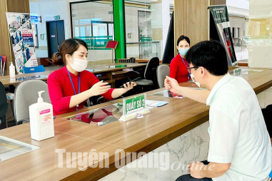Bảo hiểm xã hội tỉnh Tuyên Quang thúc đẩy chuyển đổi số