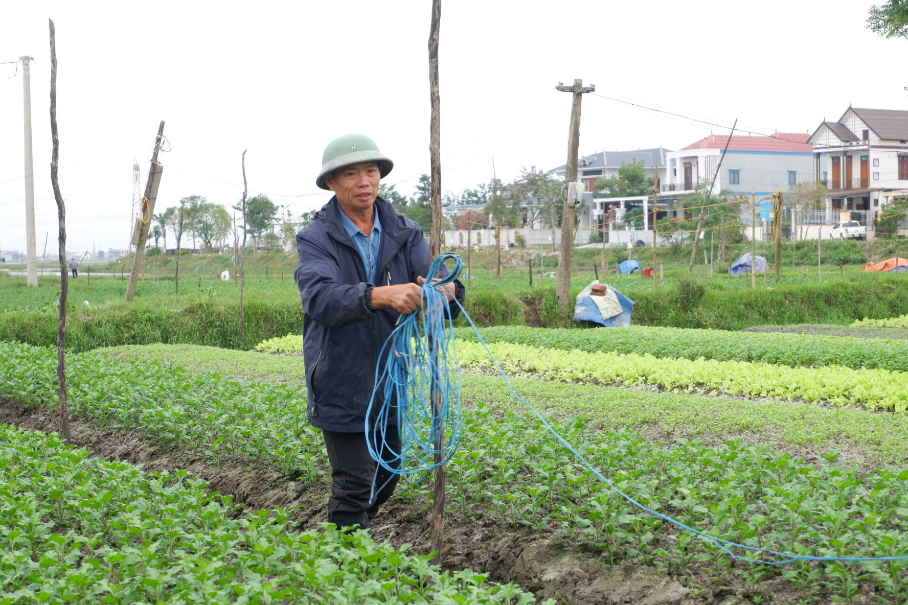 Xuân chớm về trên làng hoa Quảng Bình