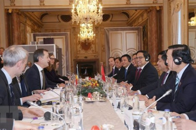 Việt Nam và Bỉ tiếp tục đạt được bước tiến tích cực trong quan hệ