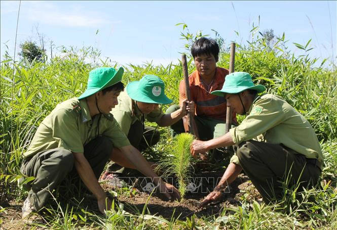 Phát động Cuộc thi Tác phẩm báo chí: "Xây dựng và phát triển đa dạng hóa sinh học trong môi trường công nghiệp"