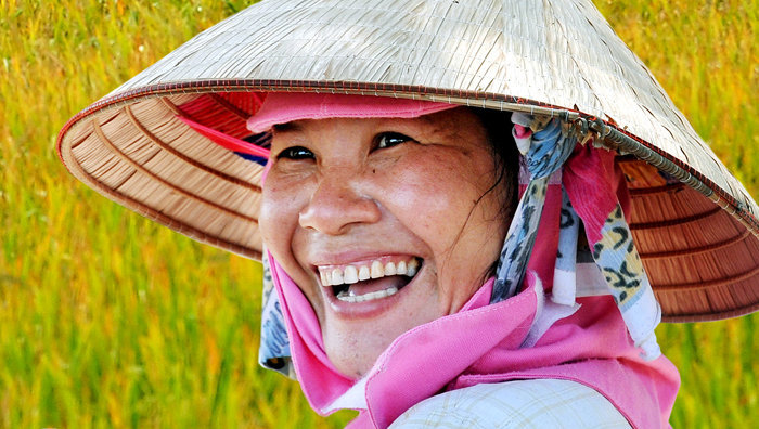Mùa lúa vàng trên quê hương Hòn Đất - Tác giả Huỳnh Mỹ Thuận