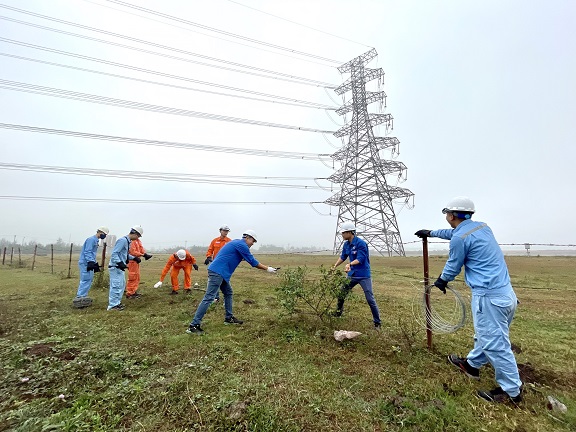 Đoàn thanh niên Công ty Nhiệt điện Thái Bình hưởng ứng Tháng thanh niên