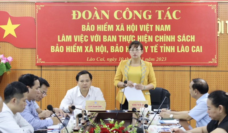 Lào Cai: Phát huy tối đa vai trò của Ban Chỉ đạo thực hiện chính sách BHXH, BHYT