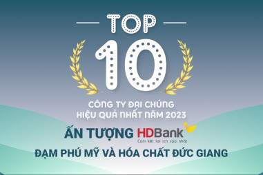 Tốp 10 công ty đại chúng hiệu quả nhất năm 2023: Ấn tượng HDBank, Đạm Phú Mỹ và Hóa dầu Đức Giang