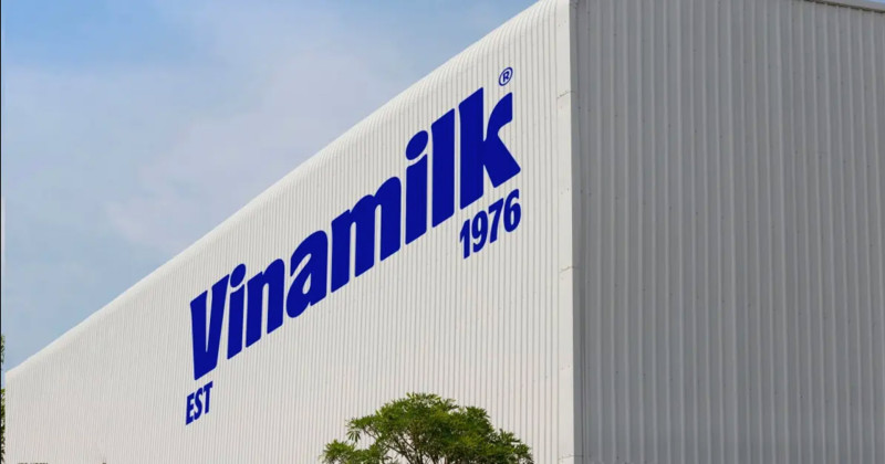 Vinamilk, doanh nghiệp duy nhất của ngành sữa Việt Nam trong danh sách Fortune 500 Đông Nam Á