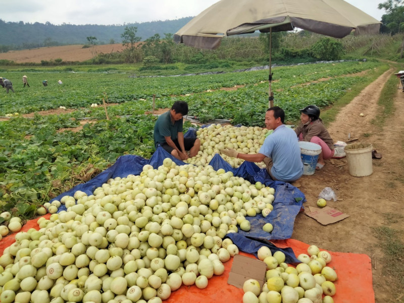 Huyện Như Xuân phát triển kinh tế - xã hội theo hướng bền vững